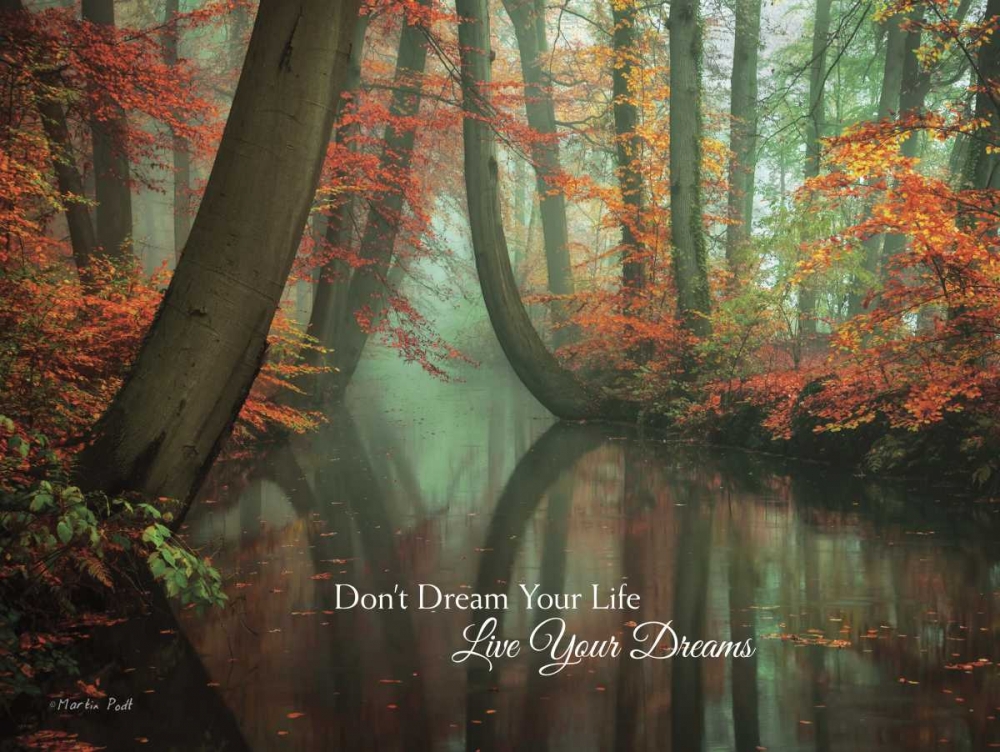 Wall Art Painting id:95833, Name: Live Your Dream, Artist: Podt, Martin