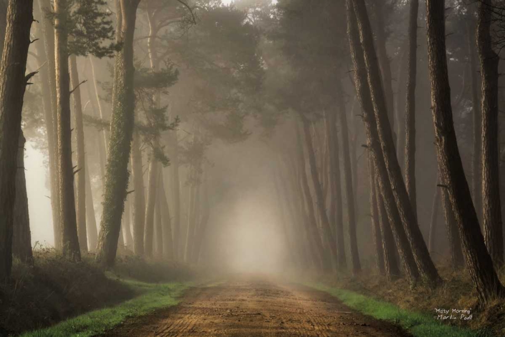 Wall Art Painting id:142916, Name: Misty Morning, Artist: Podt, Martin