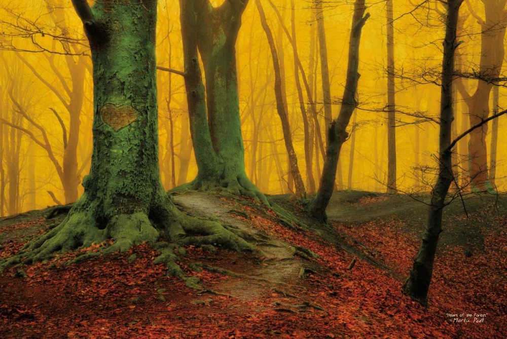 Wall Art Painting id:142921, Name: Heart of the Forest, Artist: Podt, Martin