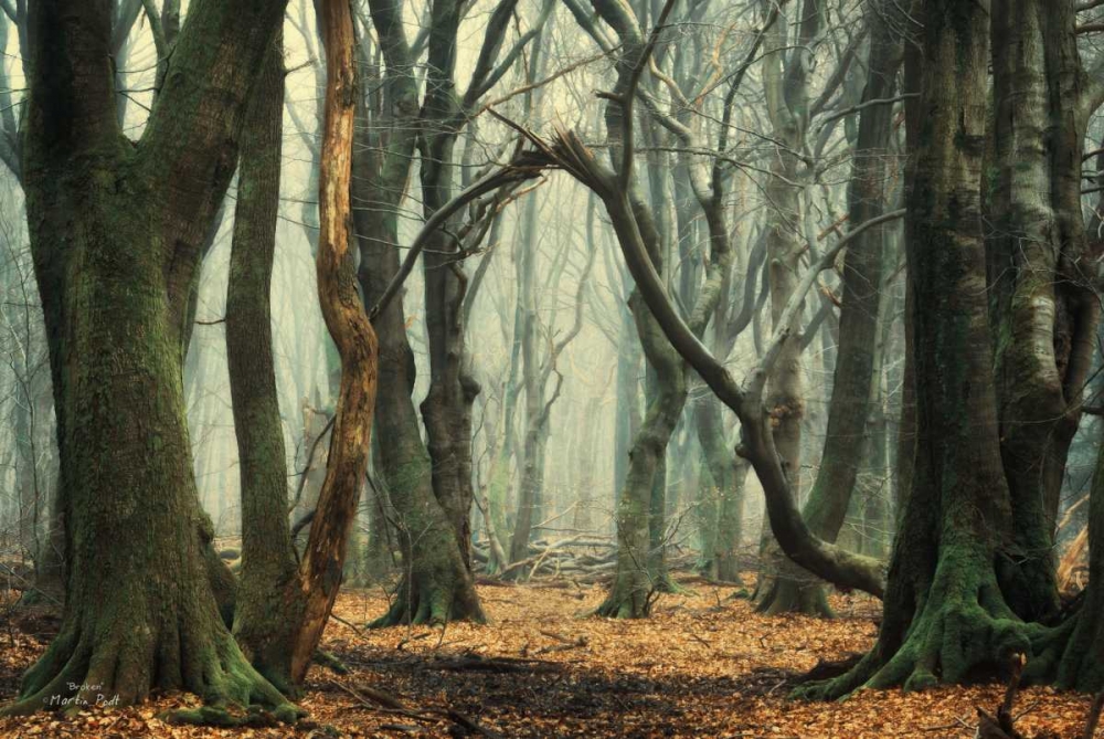 Wall Art Painting id:142924, Name: Broken, Artist: Podt, Martin