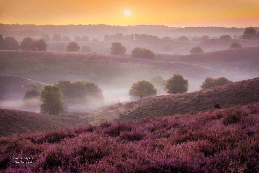 Art Print: Sunrise Layers