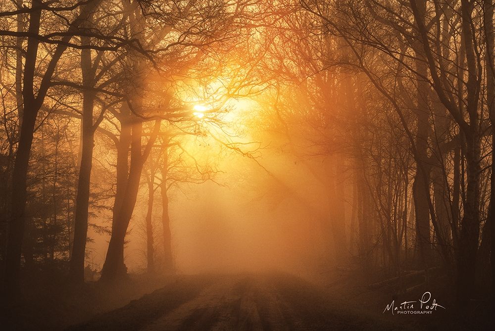 Wall art: Misty Sunrise, by Podt, Martin