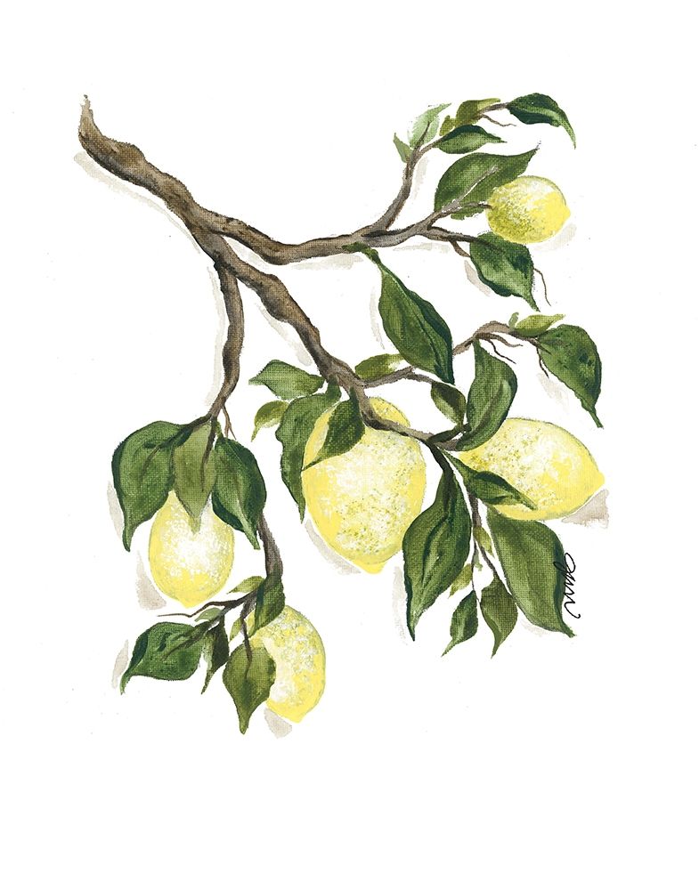 Wall Art Painting id:363848, Name: Squeeze the Day, Artist: Norkus, Julie