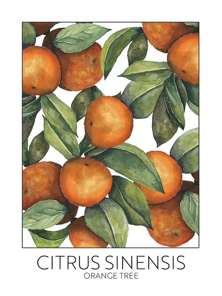 Wall Art Painting id:726557, Name: Orange Tree, Artist: Ball, Susan