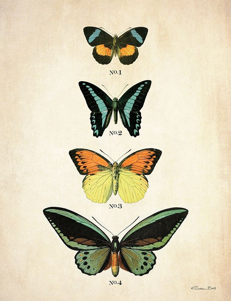 Wall art: Butterflies 2   , by Ball, Susan
