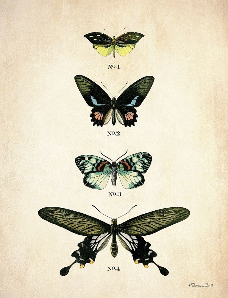 Wall art: Butterflies 3     , by Ball, Susan