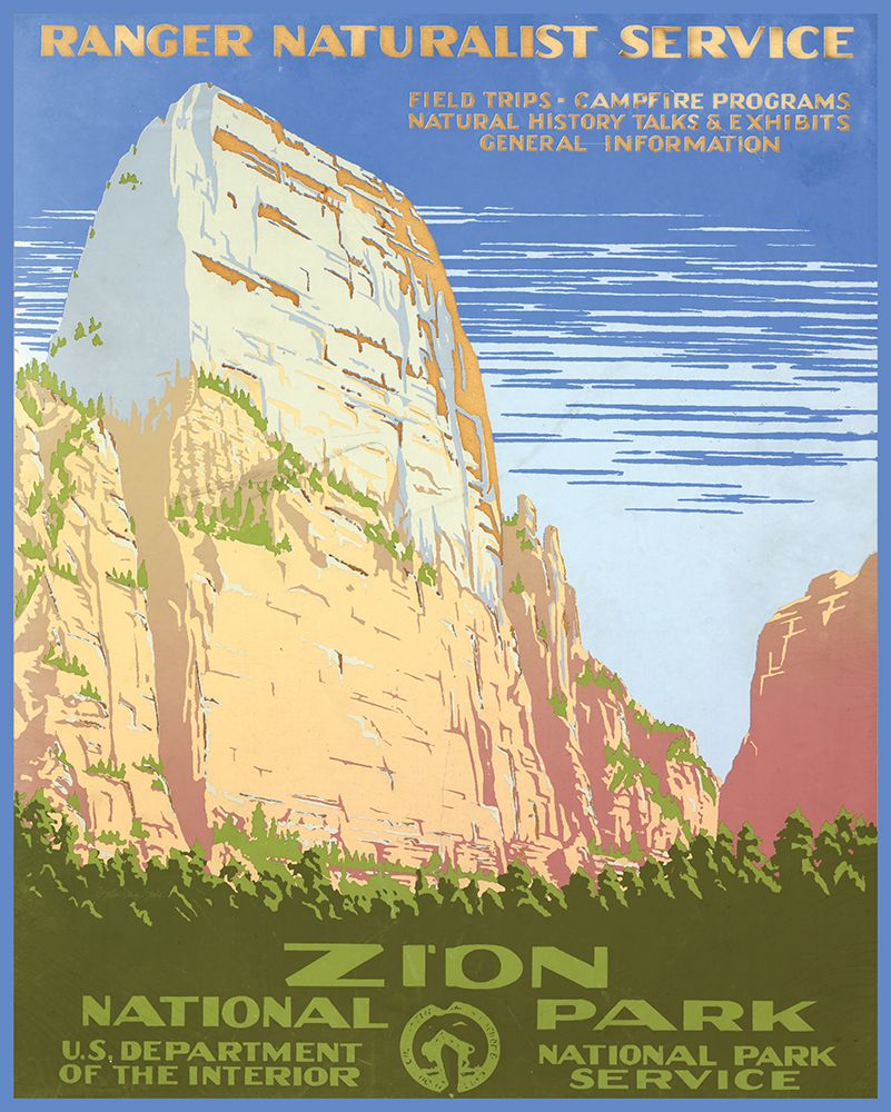 Wall Art Painting id:447411, Name: Zion National Park, Artist: Stellar Design Studio