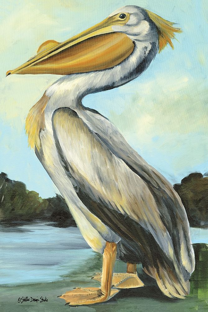 Wall Art Painting id:325976, Name: The Grand Pelican, Artist: Stellar Design Studio