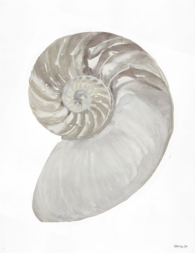 Wall Art Painting id:309067, Name: Neutral Shell 2, Artist: Stellar Design Studio