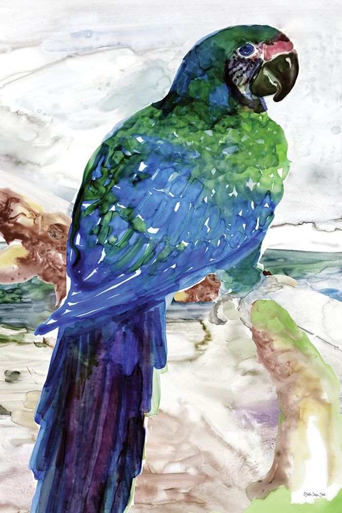 Wall Art Painting id:312250, Name: Blue Parrot on Branch 1, Artist: Stellar Design Studio