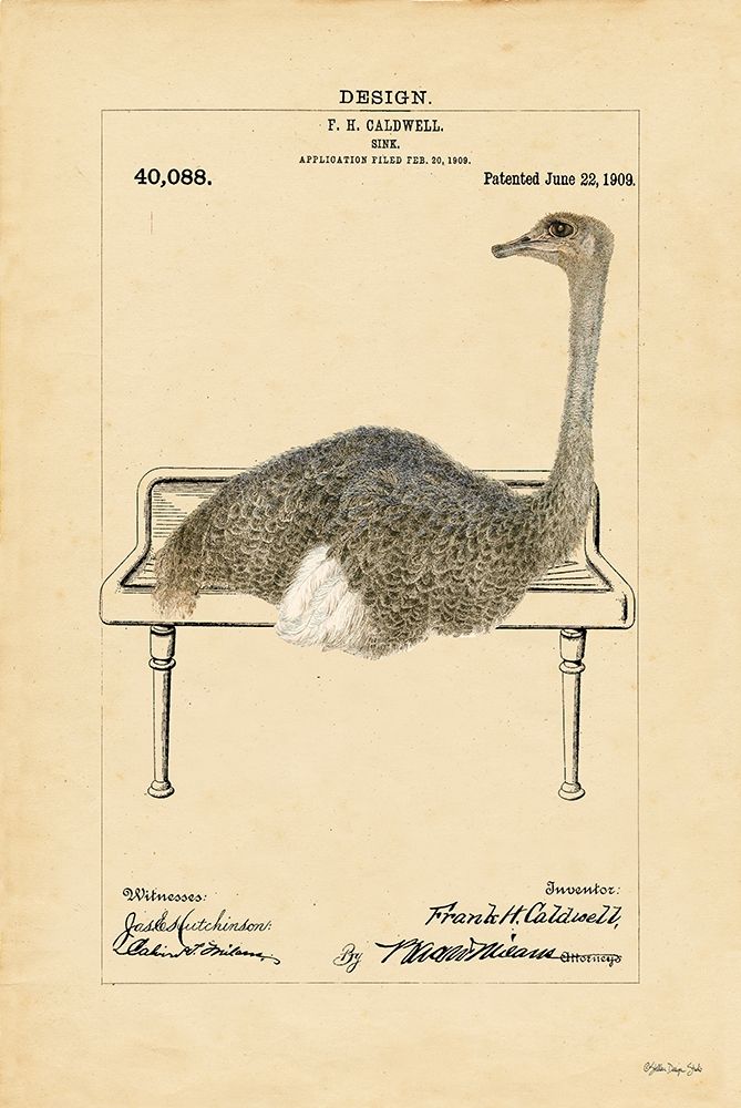 Wall Art Painting id:325403, Name: Ostrich in Sink, Artist: Stellar Design Studio