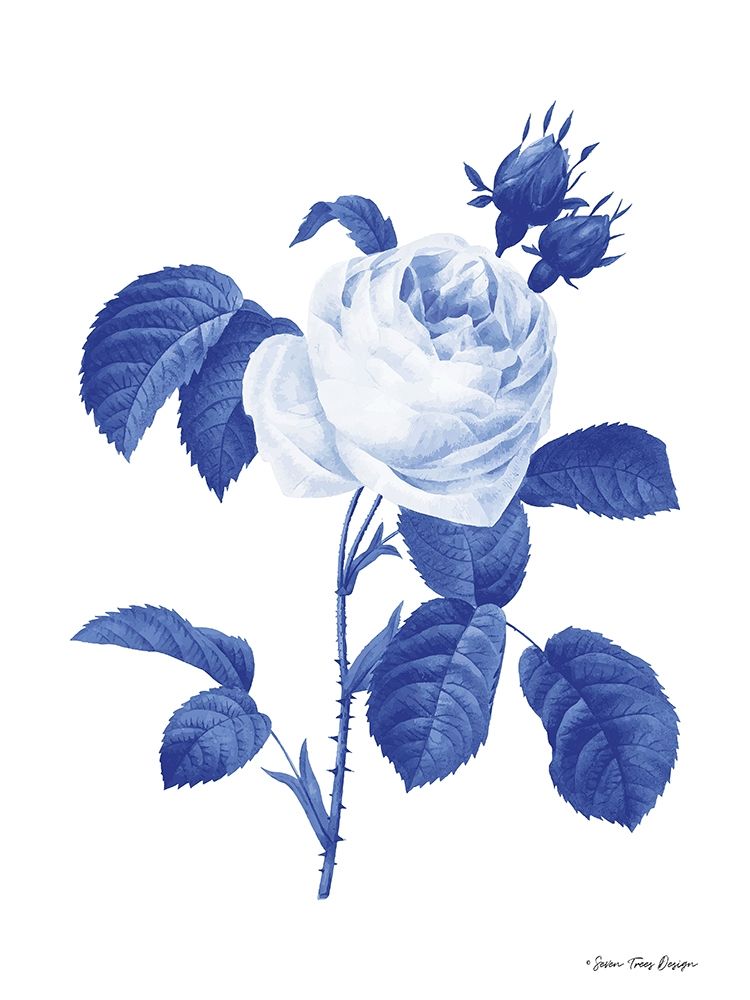 Art Print: Blue Botanical I