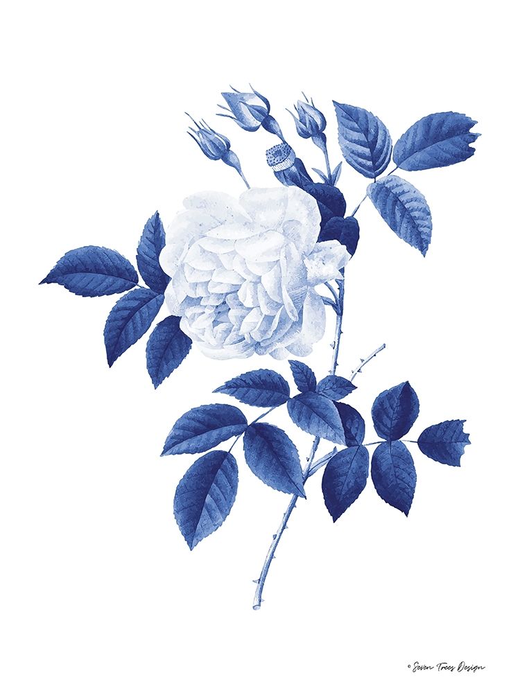 Art Print: Blue Botanical II