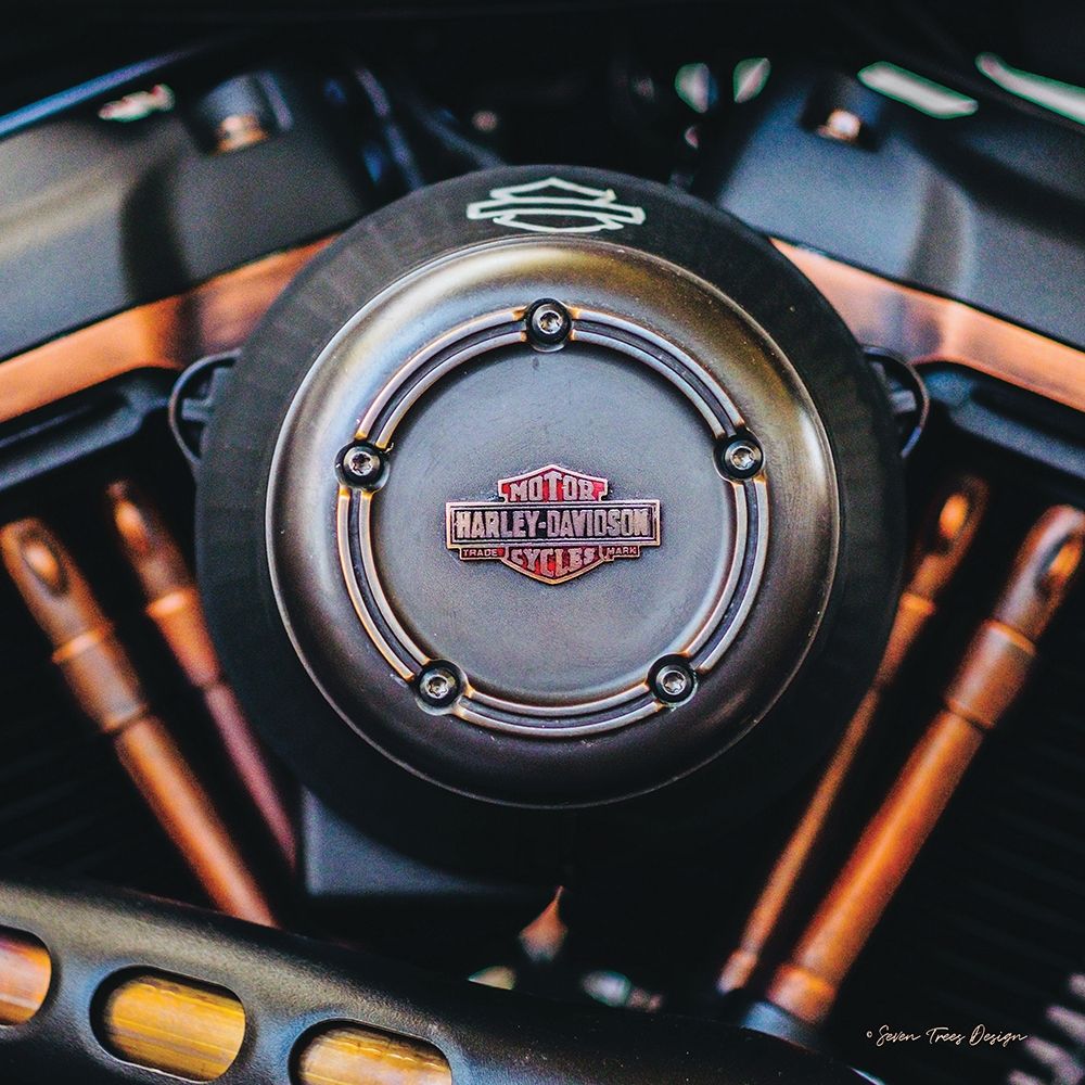 Wall art: Harley II, by Seven Trees Design