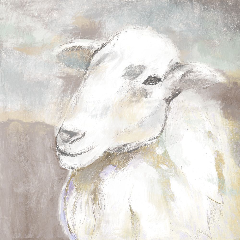 Wall Art Painting id:460692, Name: Sheep Portrait, Artist: White Ladder