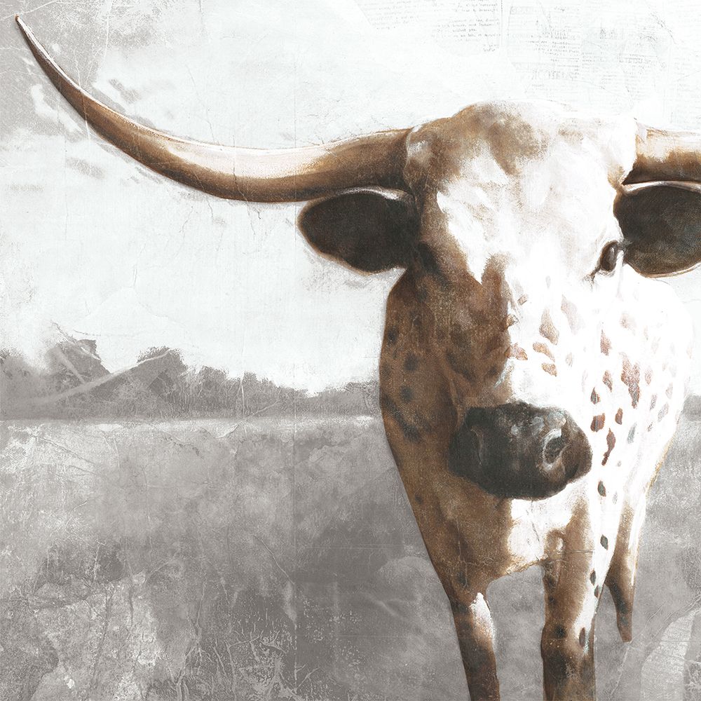 Wall Art Painting id:716358, Name: Longhorn Luke, Artist: White Ladder