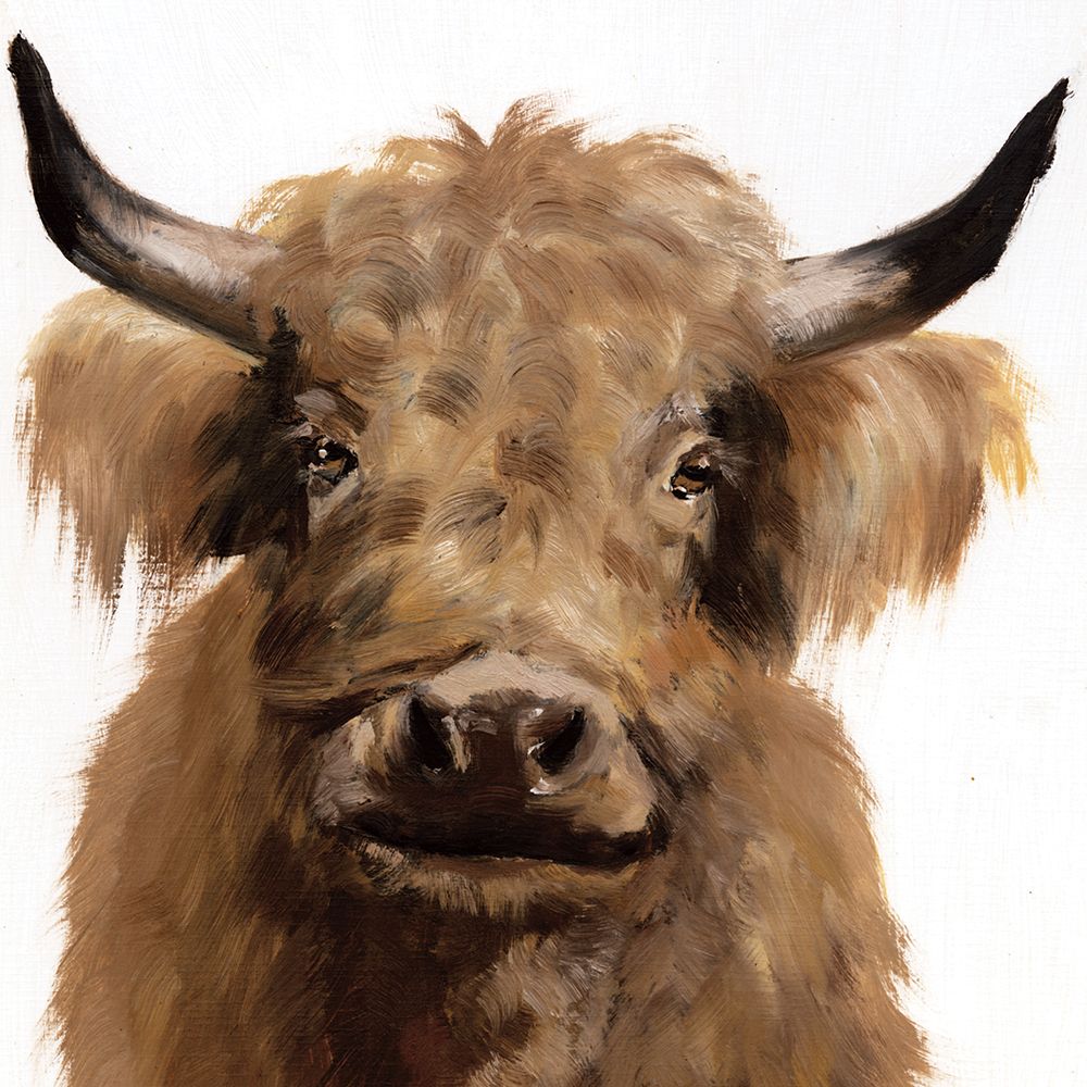 Wall Art Painting id:634914, Name: Fluffy Highland, Artist: White Ladder