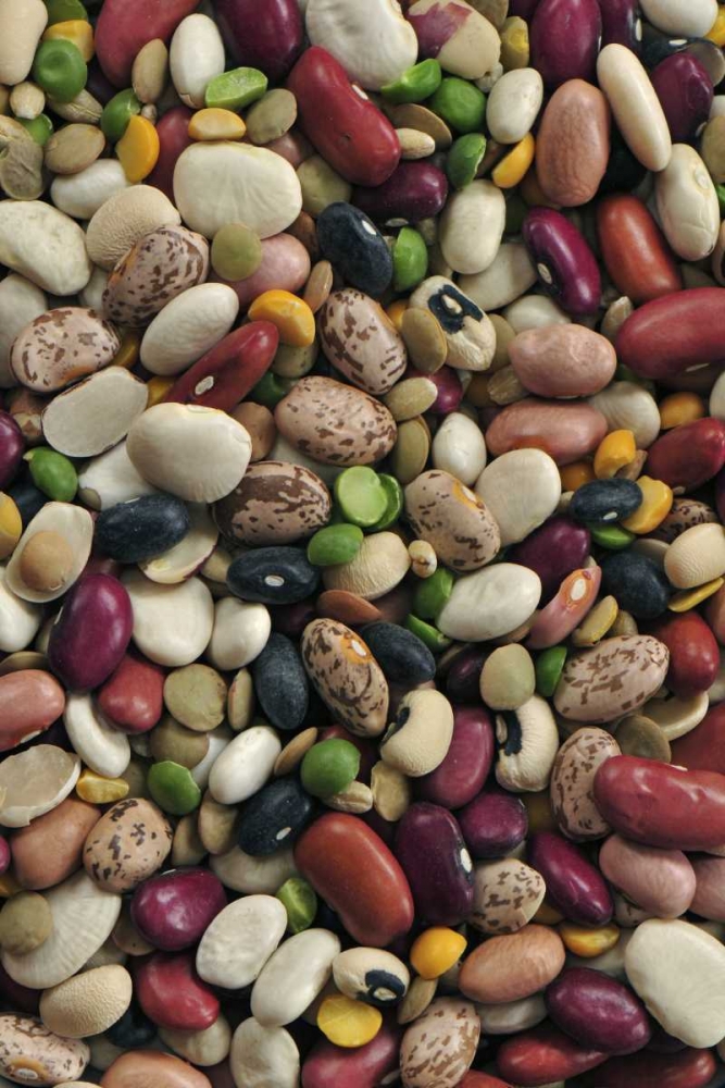Art Print: USA Colorful dried bean soup mixture