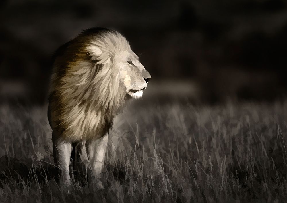 Art Print: Kenya-Masai Mara National Reserve Abstract of male lion standing in field