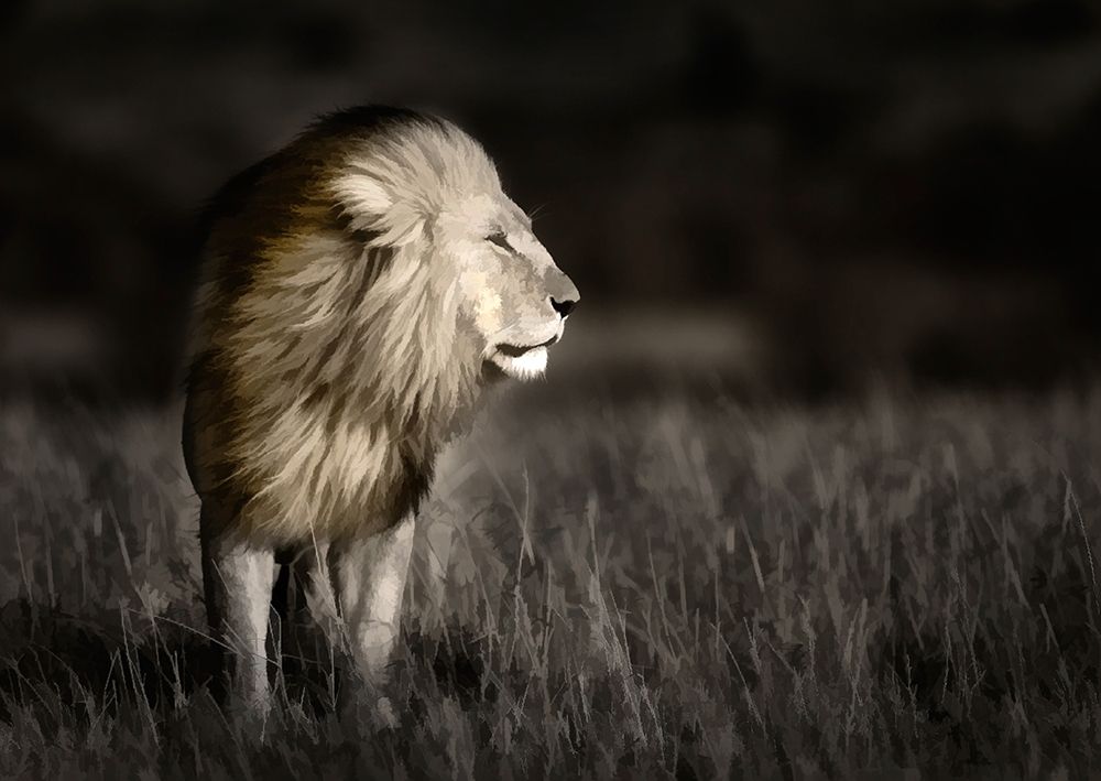 Wall Art Painting id:398756, Name: Kenya-Masai Mara National Reserve Abstract of male lion standing in field, Artist: Jaynes Gallery