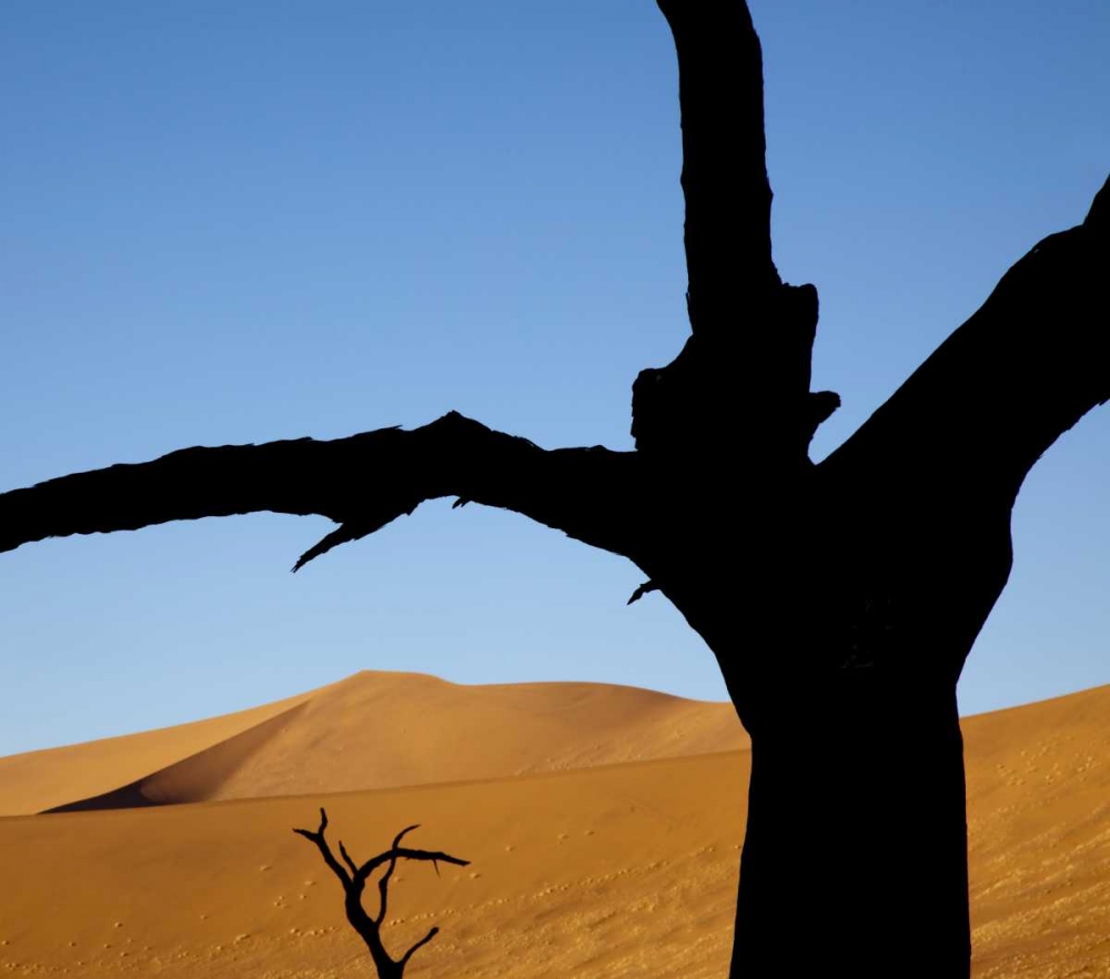 Art Print: Namibia, Sossusvlei Dead trees with sand dune