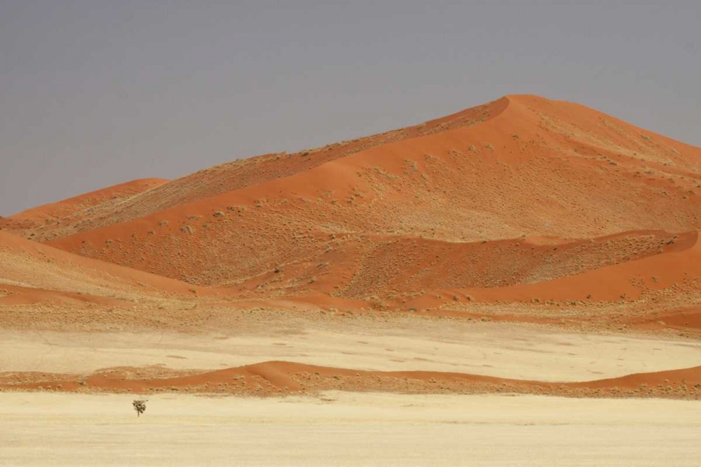 Art Print: Namibia, Namib Desert Patterns on sand dunes