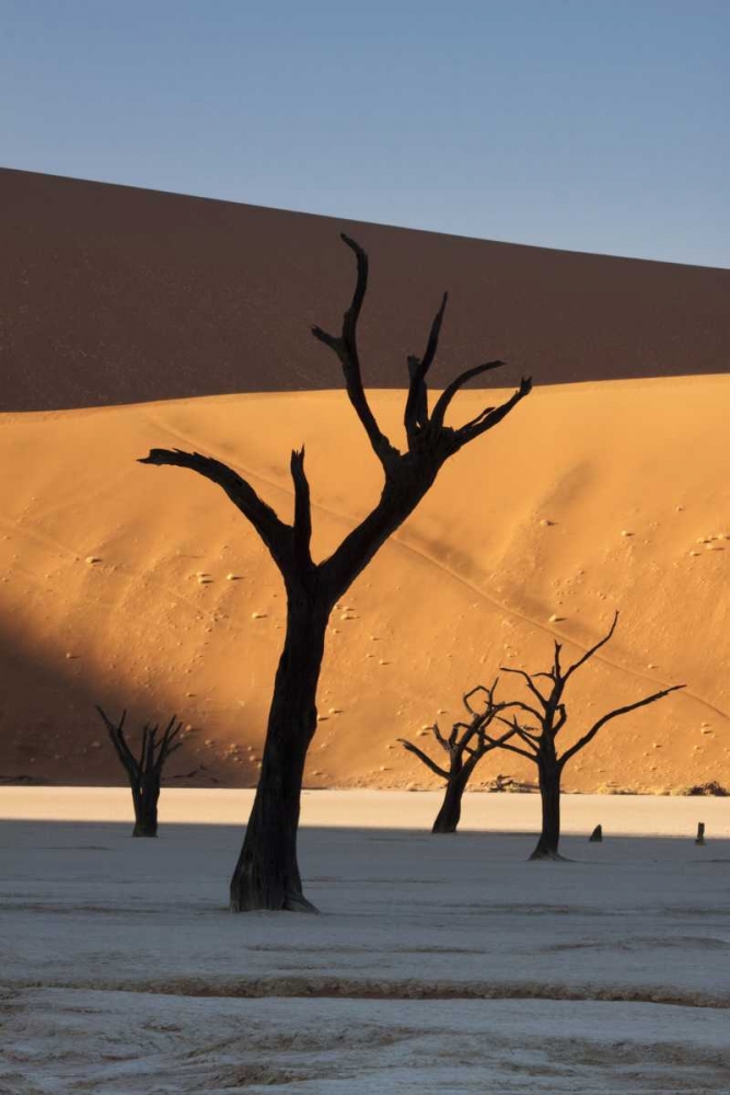 Wall Art Painting id:130042, Name: Namibia, Sossusvlei Sunrise on dead trees, Artist: Kaveney, Wendy