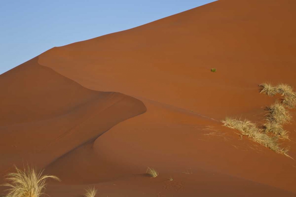 Art Print: Namibia, Namib Desert, Grasses on sand dune