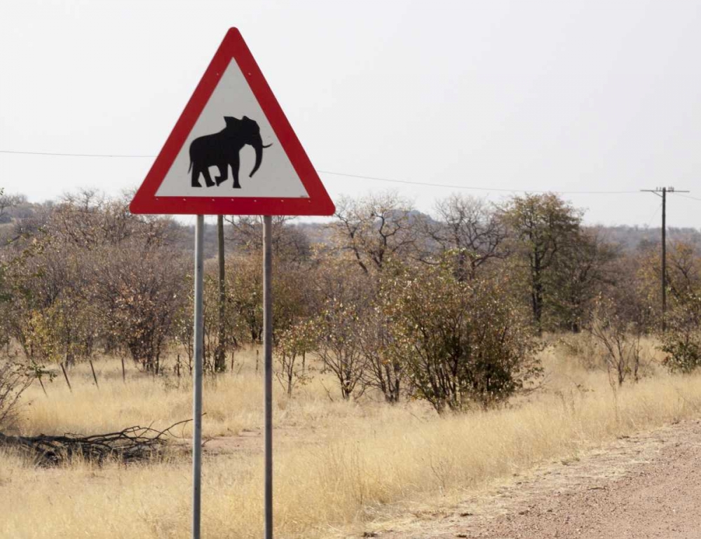 Art Print: Namibia, Damaraland Sign warning about elephants