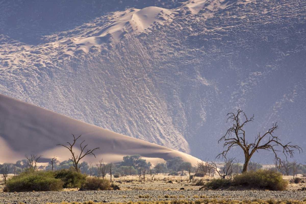 Art Print: Namibia, Namib-Naukluft Sand dunes and trees