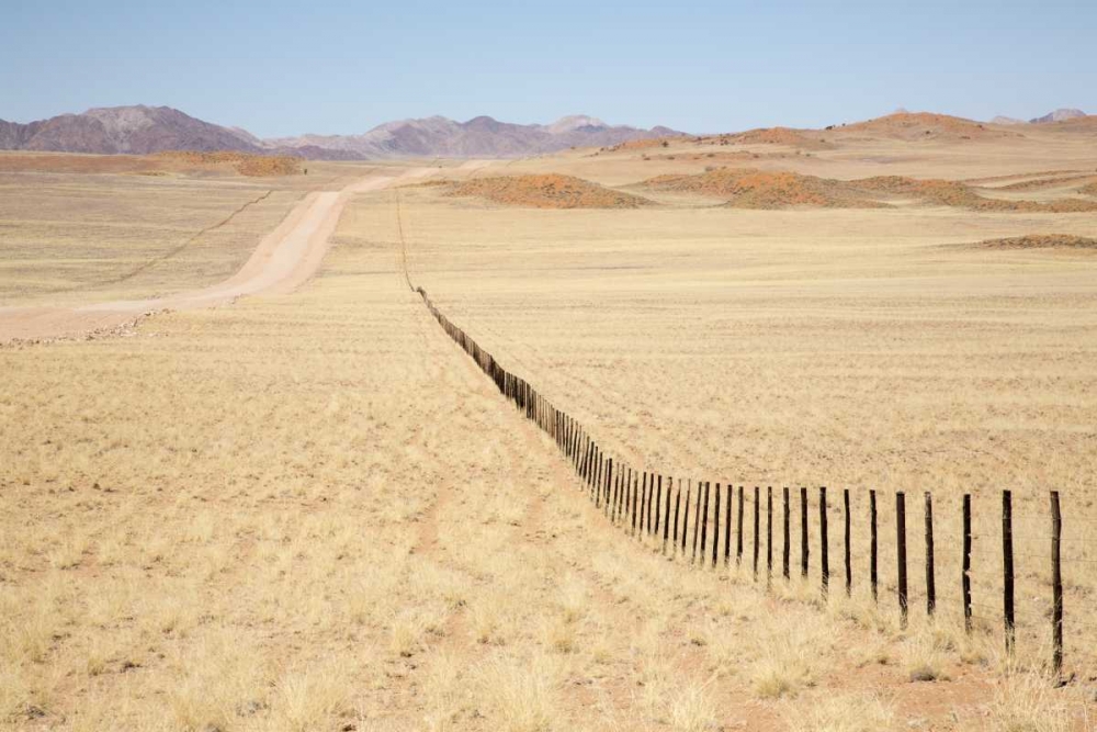 Art Print: Namibia, Namib Desert Road and fence in desert