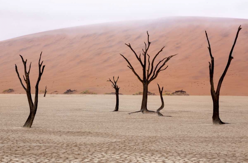 Art Print: Namibia, Namib-Naukluft, Deadvlei Misty Morning