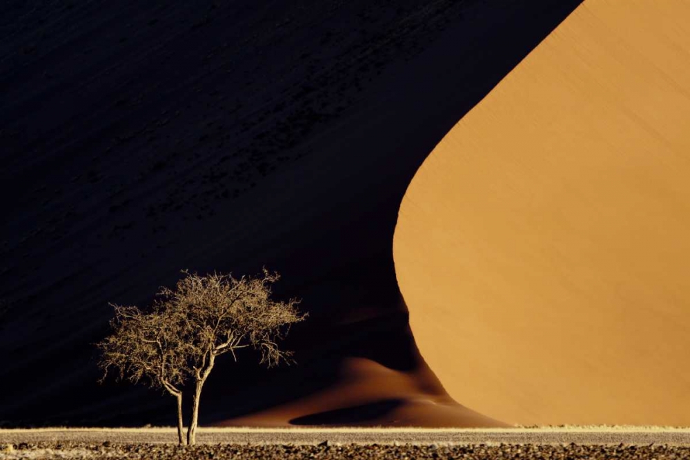 Art Print: Namibia, Namib-Naukluft Park Red sand dunes