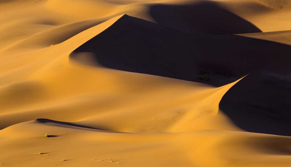 Art Print: Namibia, Namib-Naukluft NP Abstract of sand dune