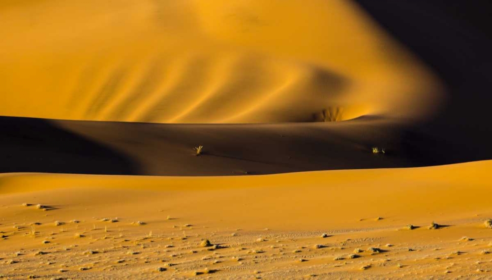 Art Print: Namibia, Namib-Naukluft NP Abstract of sand dune