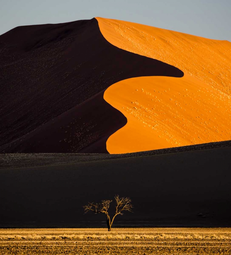 Art Print: Namibia, Namib-Naukluft NP Abstract of sand dune