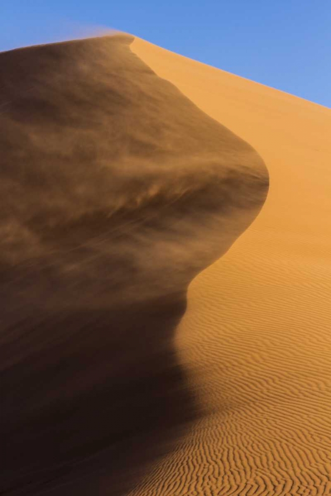 Art Print: Namibia, Namib-Naukluft NP Blowing sand on dune