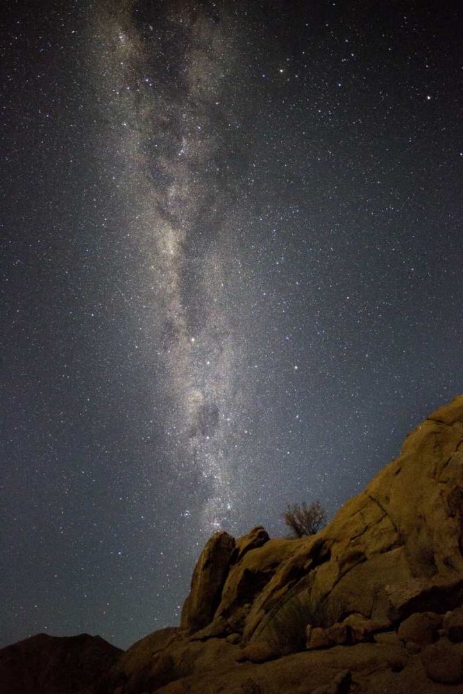 Art Print: South Richtersveld NP Milky Way at night