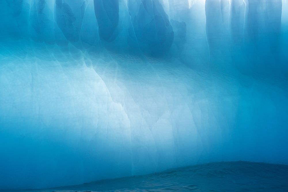 Art Print: Antarctica-South Georgia Island-Gold Harbor Blue iceberg close-up 