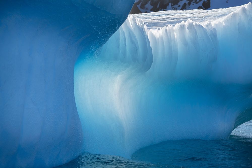 Art Print: Antarctica-South Georgia Island-Gold Harbor Blue iceberg close-up 