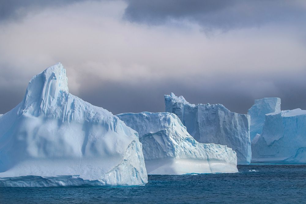 Art Print: Antarctica-South Georgia Island-Coopers Bay Icebergs at sunrise 