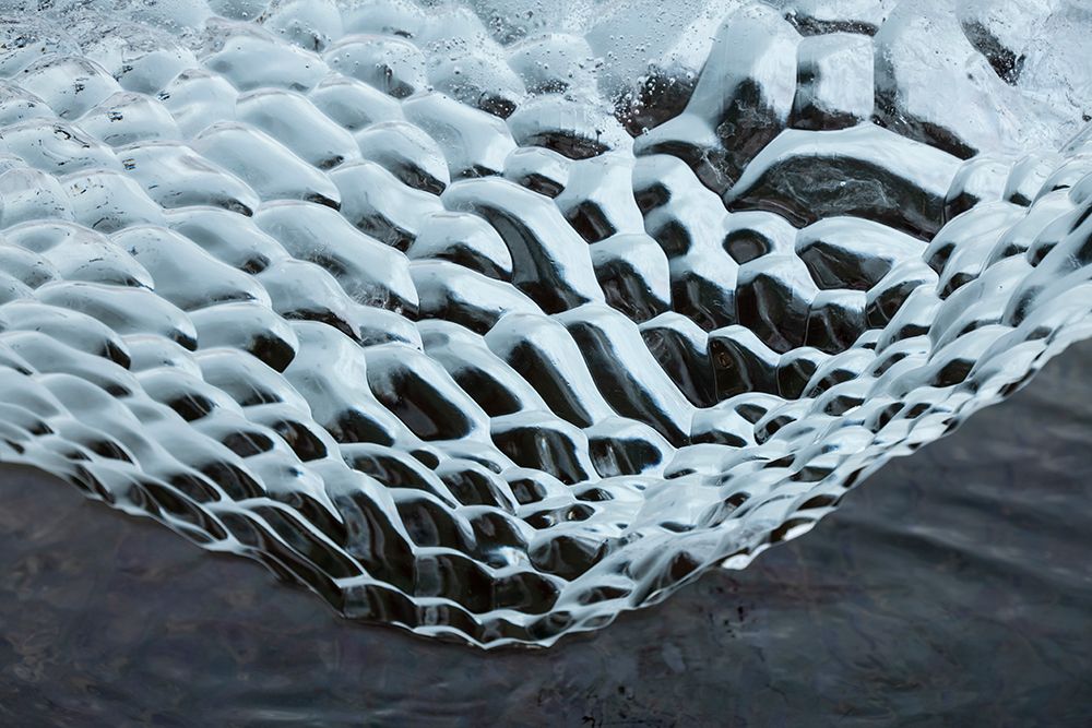 Art Print: Antarctica-Southern Ocean-South Orkney Islands. Ice detail.