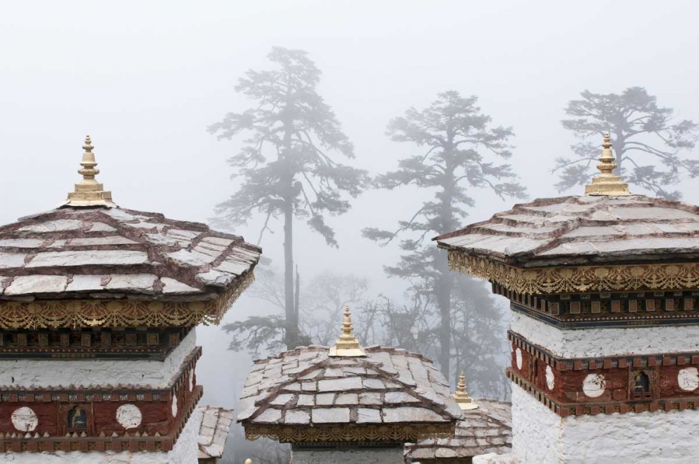 Art Print: Bhutan, Dochu La Chortens and trees in fog
