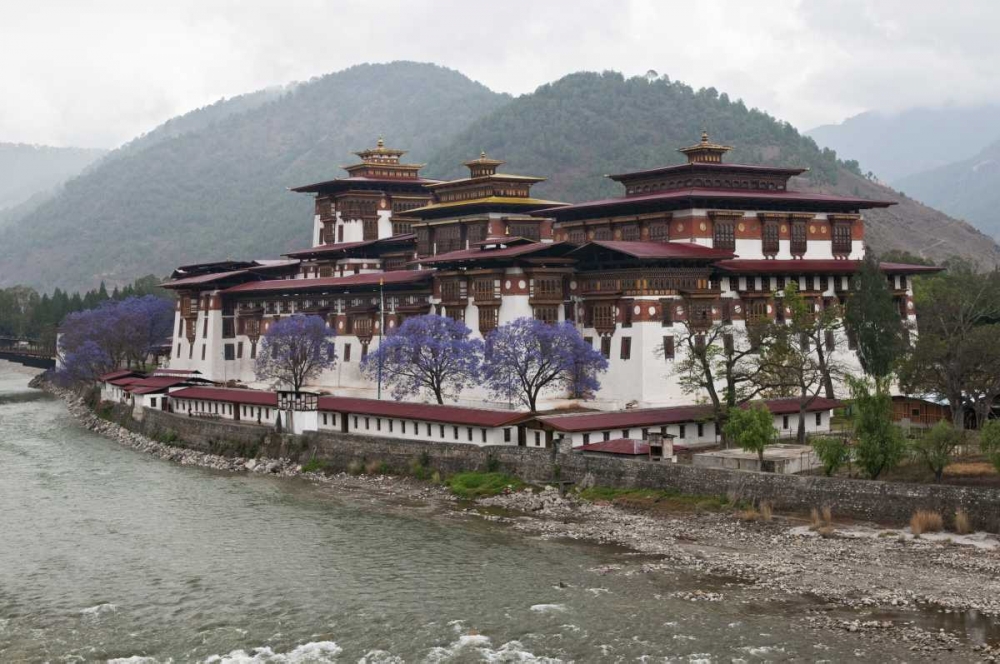 Art Print: Bhutan Punakha Dzong palace with jacaranda