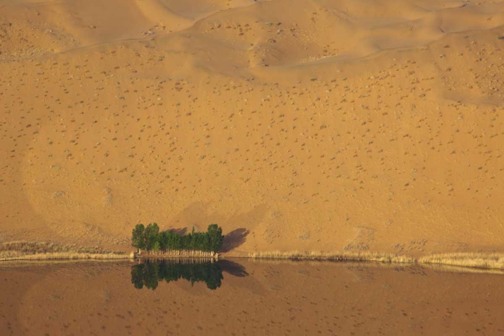 Art Print: China, Badain Jaran Dune and trees by a lake