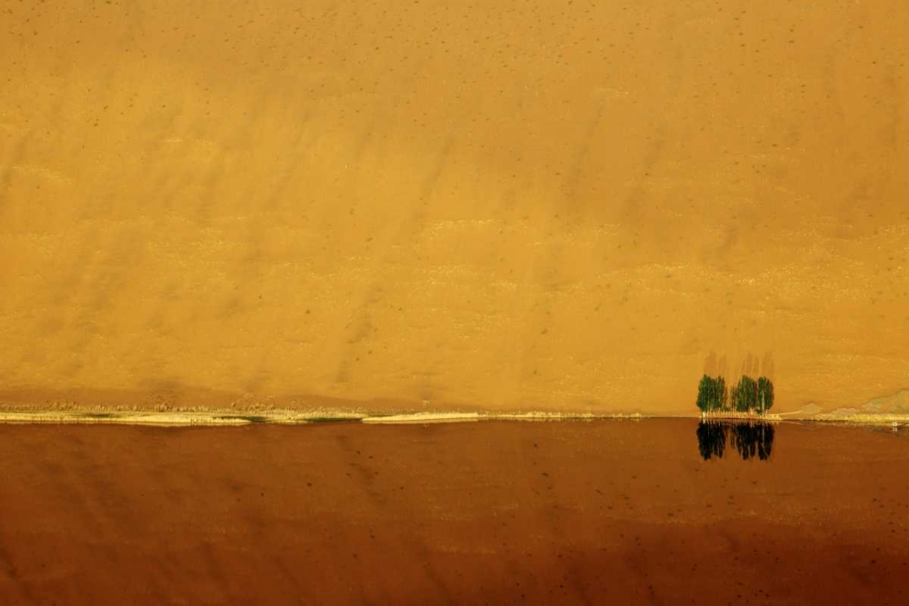 Art Print: China, Badain Jaran Dune and trees by a lake