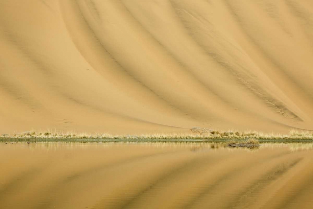 Art Print: China, Badain Jaran Desert Dune patterns