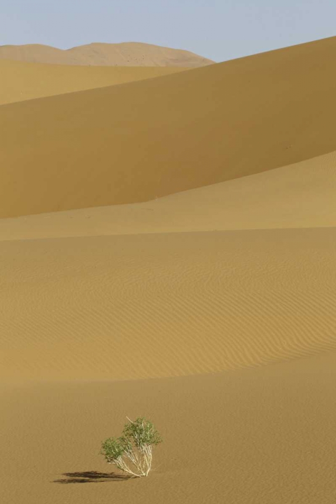 Art Print: China, Gansu Province Badain Jaran Desert