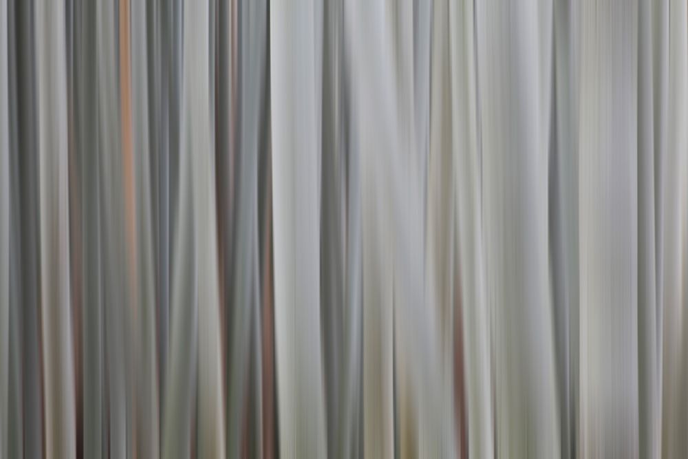 Wall Art Painting id:399167, Name: Japan-Kyoto Abstract blur of bamboo stalks, Artist: Jaynes Gallery
