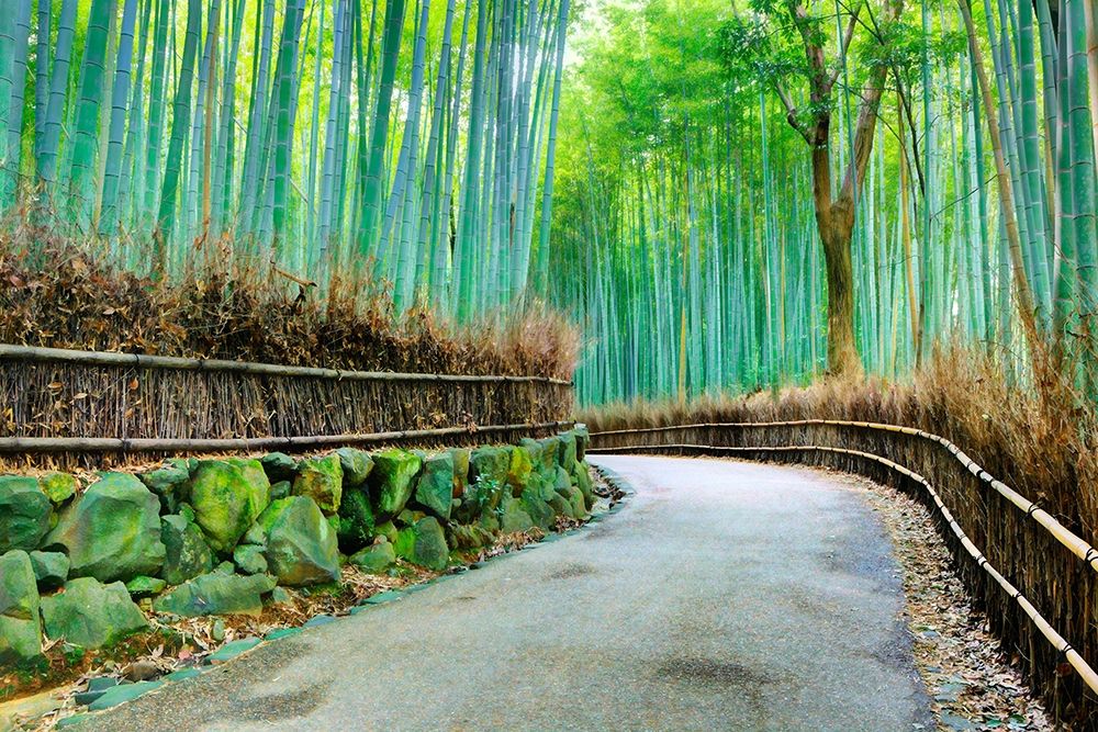 Wall Art Painting id:399170, Name: Kyoto Abstract of Arashiyama Bamboo Grove, Artist: Jaynes Gallery